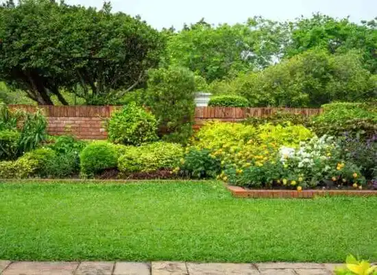 landscaping services Robbinsdale